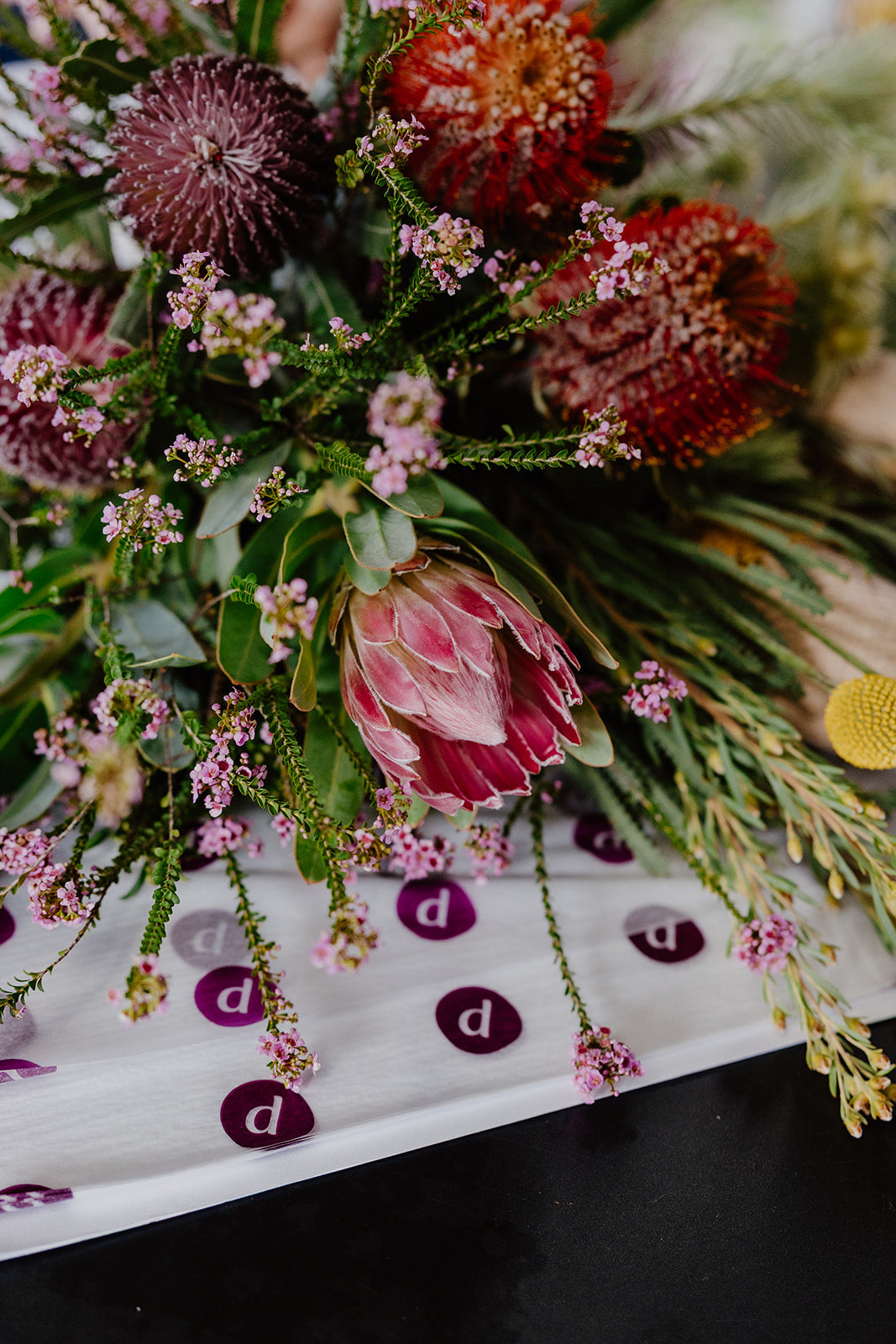 Native Australian Winter Flowers: The Best Blooms to Look for This Season in Perth
