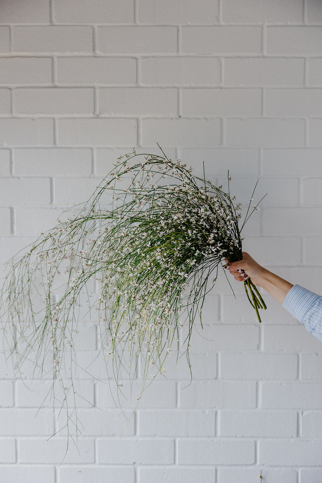 Sustainable Floristry in Perth: How The Plumery Is Changing the Way We Think About Flowers