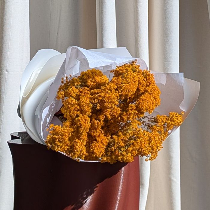 Dried Verticordia Gift Bundle